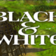 Black And White 2 Version Free Download