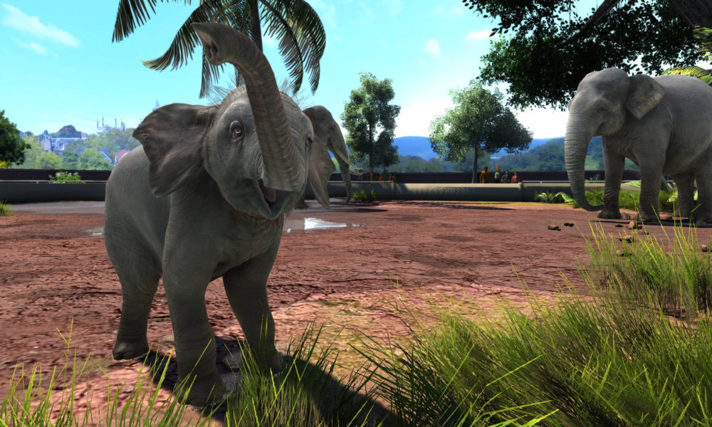 play zoo tycoon online free