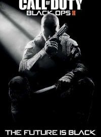 Call of Duty Black Ops 2 PC Game Full Version Free Download
