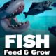 Feed and Grow Fish PC Latest Version Game Free Download