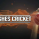 Ashes Cricket PC Latest Version Full Game Free Download