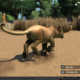 Zoo Tycoon 2 Ultimate Animal Collection PC Game Free Download