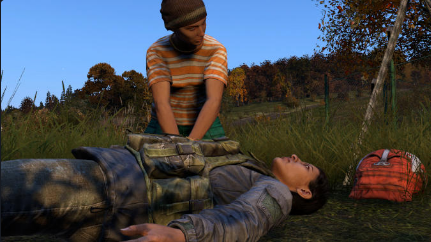 DayZ Android/iOS Mobile Version Full Free Download