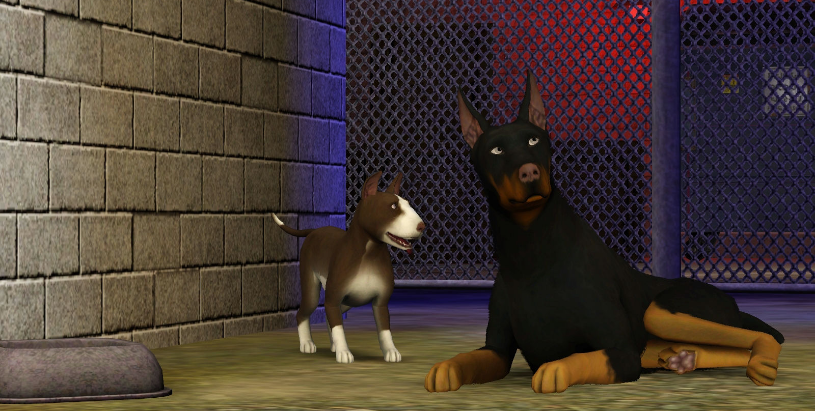 The Sims 3: Pets Free Download PC Windows Game
