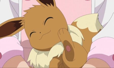 What were the 'Endless Possibilities" for Eevee, if not a new evolution?