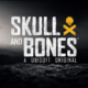 SKULL AND BONES IMPORTANCE - WHAT IT IS