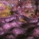 Kingdom Wars 2 Undead Cometh PC Latest Version Free Download